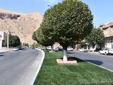 اجرای چمن مصنوعی در رفیوژهای میانی سطح شهر به منظور زیبا سازی فضاهای شهری توسط شهرداری ماکو