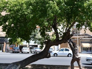 نصب المان (مرد نگهدارنده درخت) در فضای سبز بلوار امام خمینی (ره) توسط شهرداری ماکو